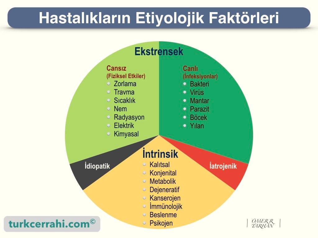 C:\Users\tosh\Downloads\etiloloji.jpg